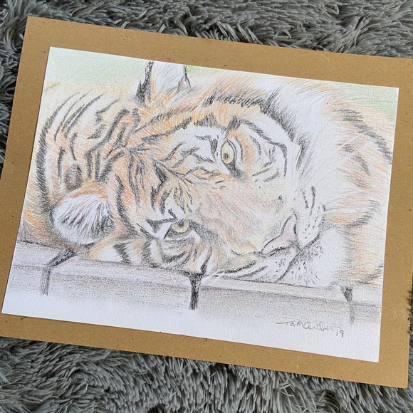 Other - Tiger Soft Colored Pencil Art Drawing